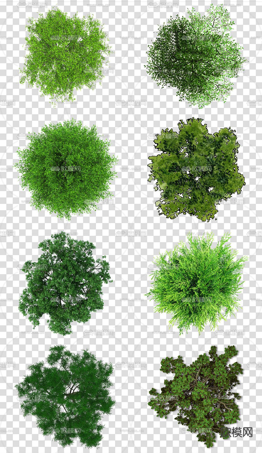 现代经典平面植物景观psd下载