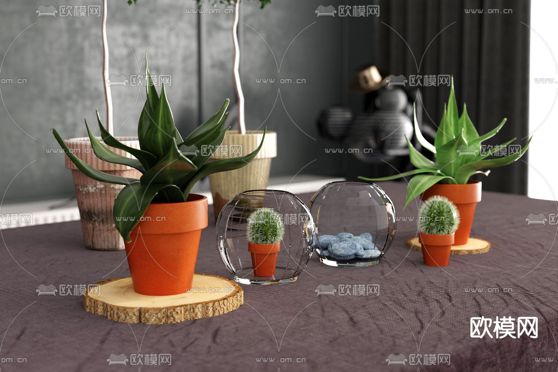 现代绿植盆栽免费3d模型下载（渲染图2）