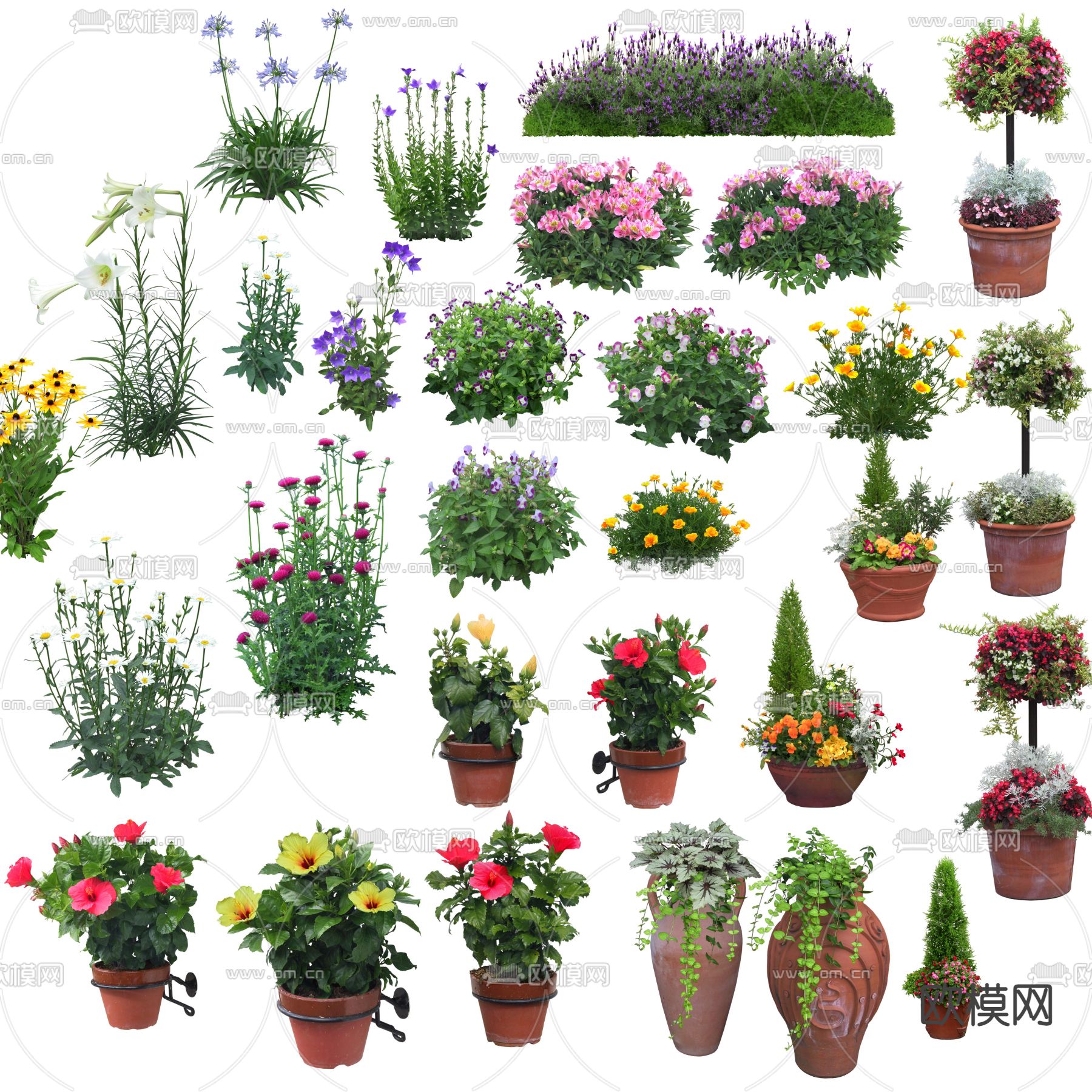 现代花草绿植盆栽灌木丛psd下载