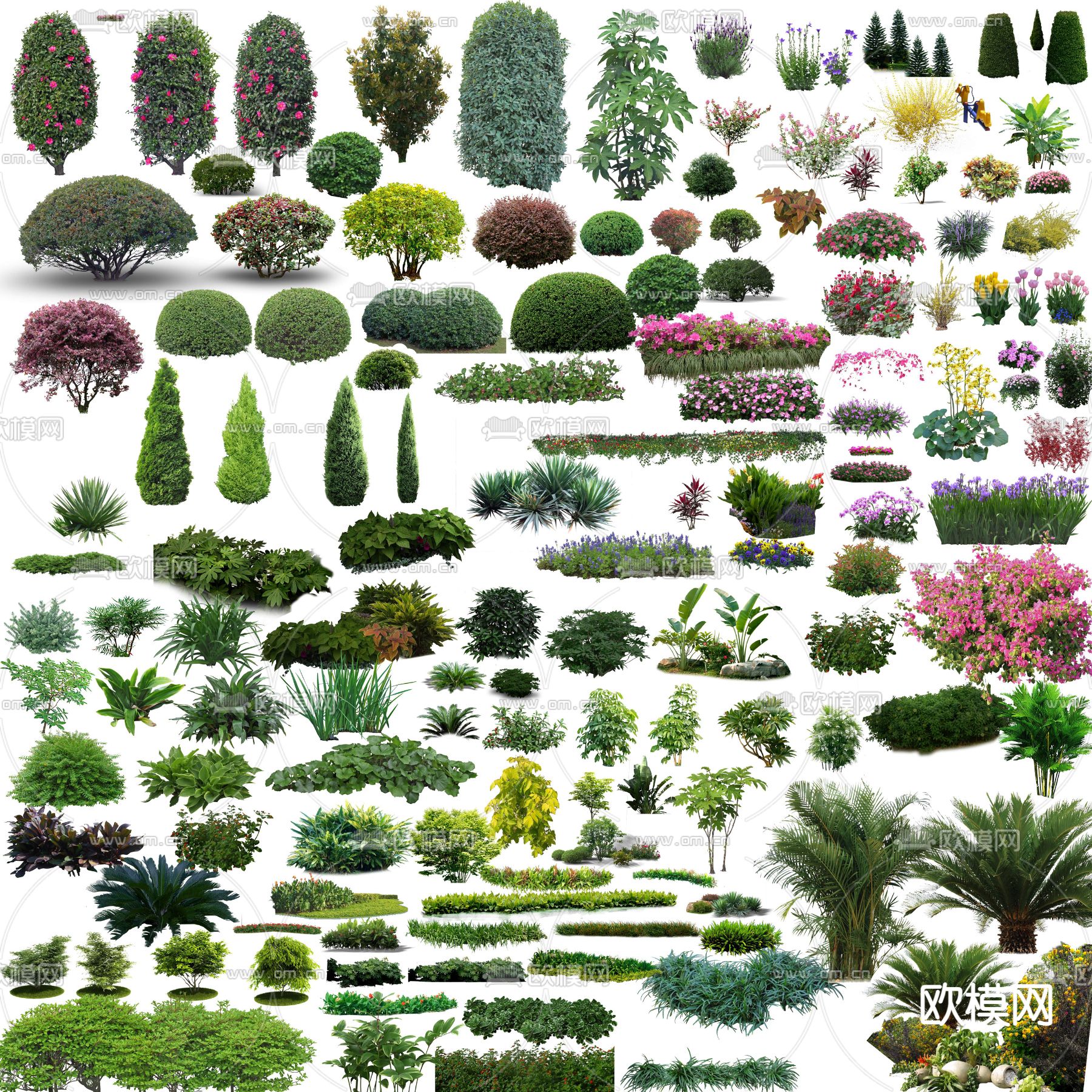 现代花草景观树灌木丛psd下载