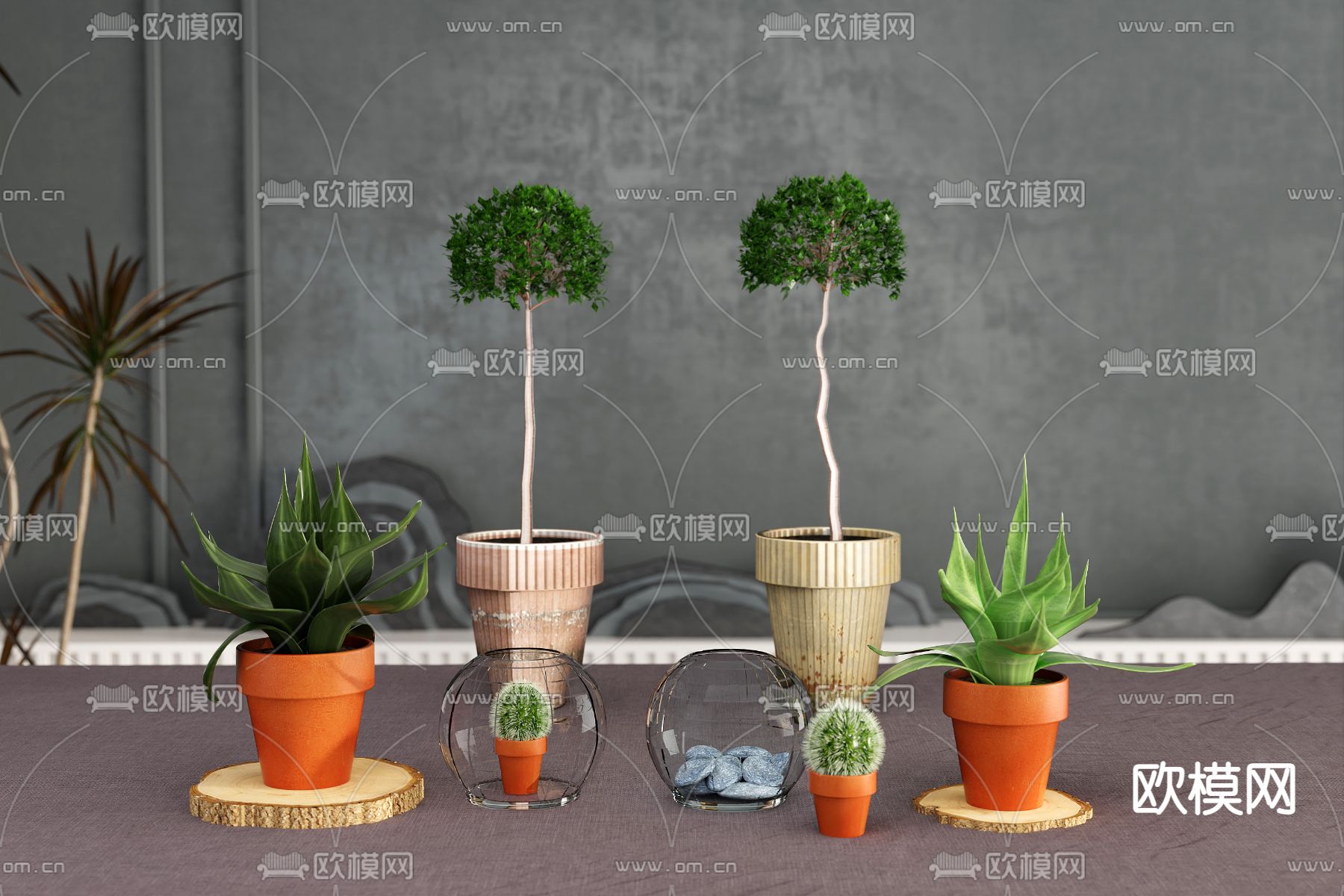 现代绿植盆栽免费3d模型下载（渲染图1）