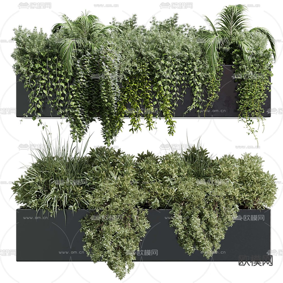 现代花圃 植物堆 花箱盆栽3d模型下载（渲染图1）