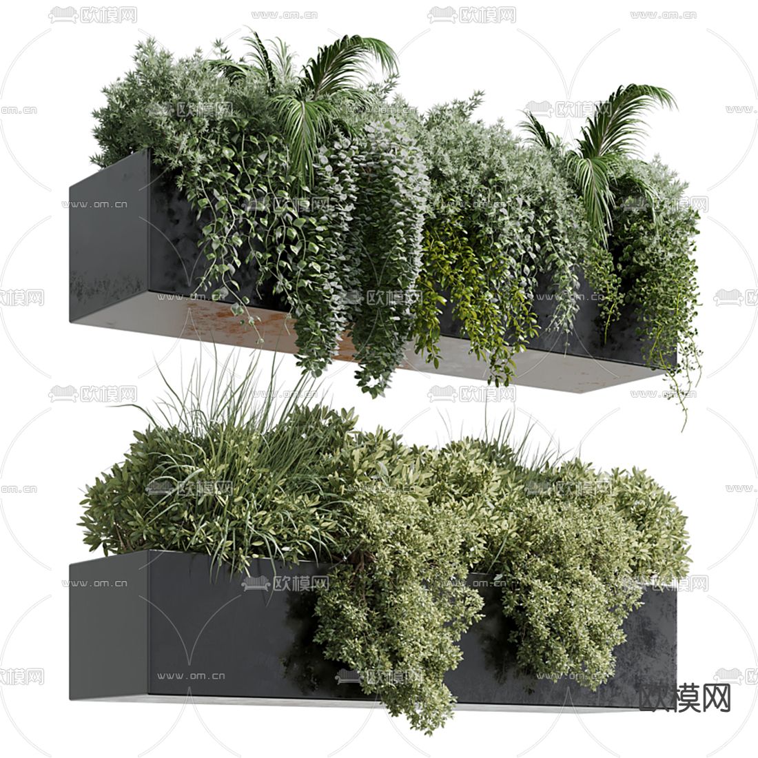 现代花圃 植物堆 花箱盆栽3d模型下载（渲染图2）