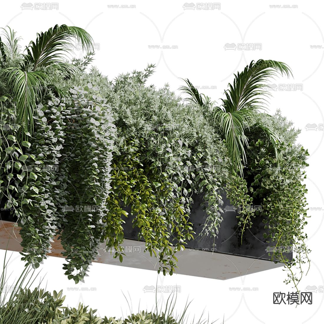 现代花圃 植物堆 花箱盆栽3d模型下载（渲染图3）