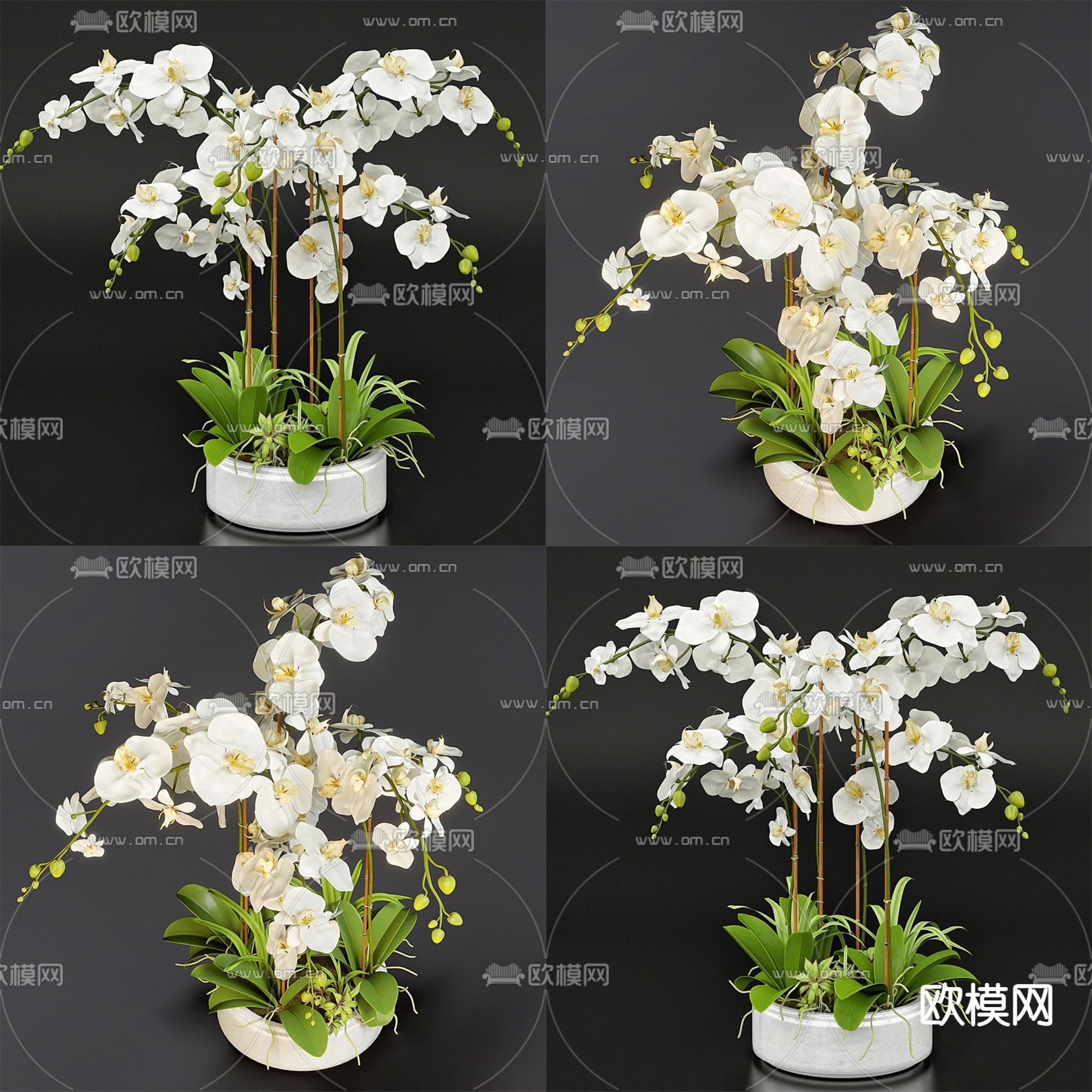 现代兰花盆栽su模型下载_ID12142595_sketchup模型下载-欧模网