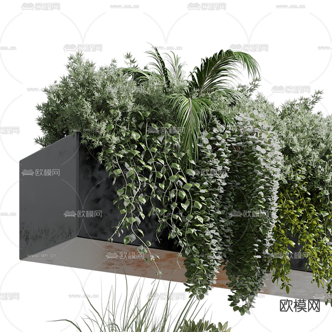 现代花圃 植物堆 花箱盆栽3d模型下载（渲染图4）