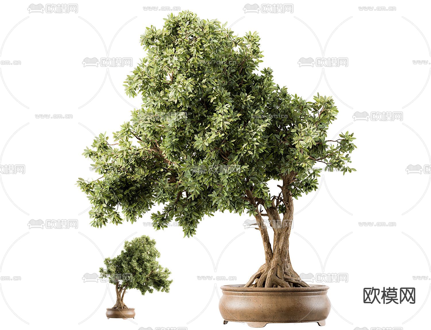 盆栽 盆景 绿植植物 观赏树3d模型下载_ID12150005_3dmax免费模型-欧模网
