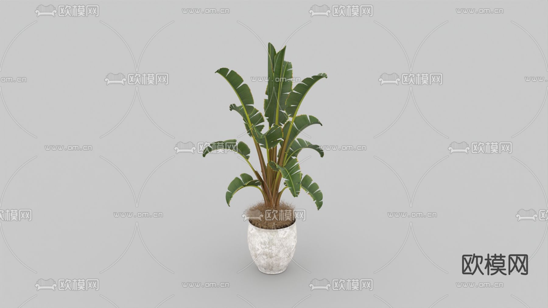 北欧简约绿植盆栽免费3d模型下载