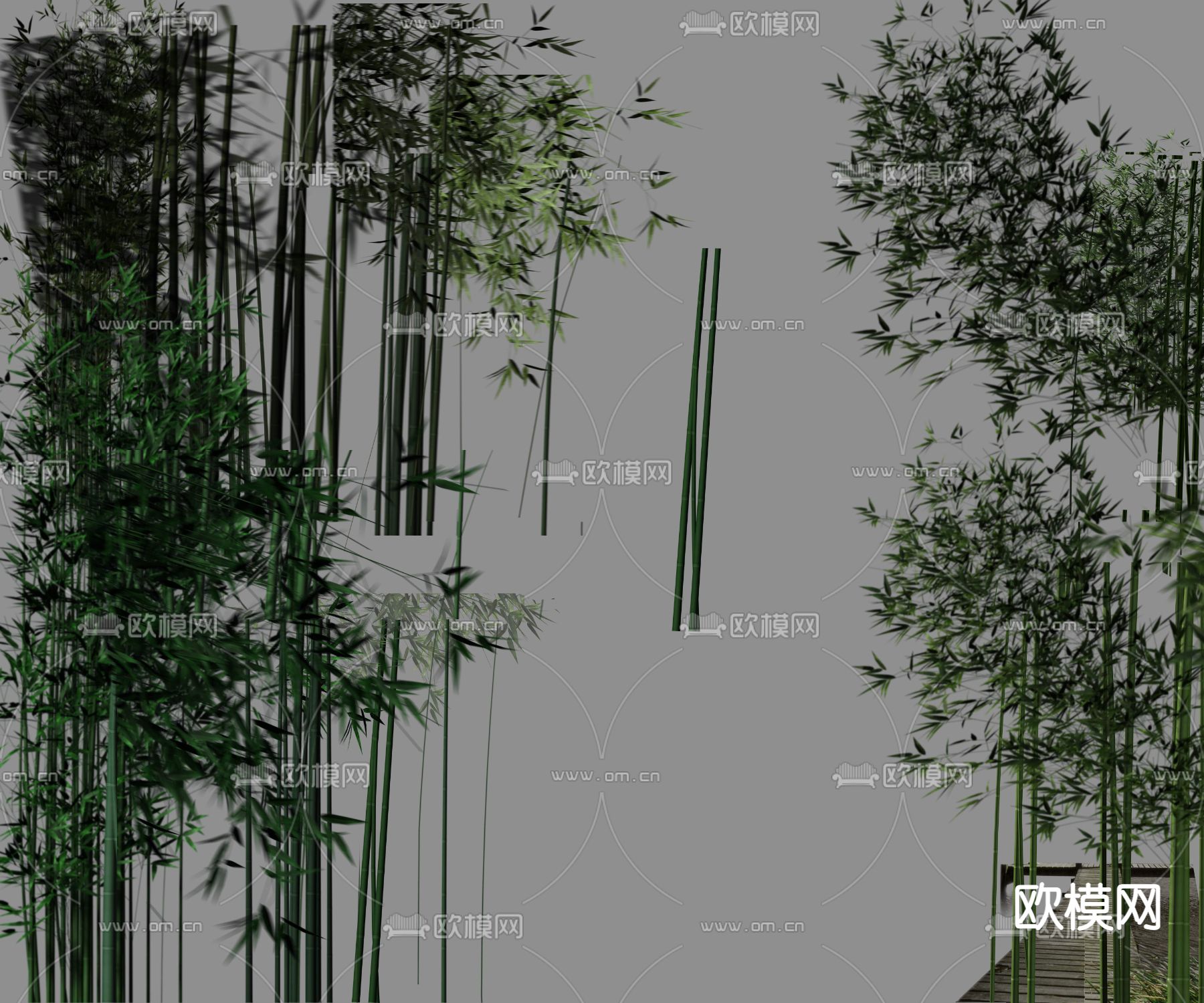 现代竹子绿植psd下载