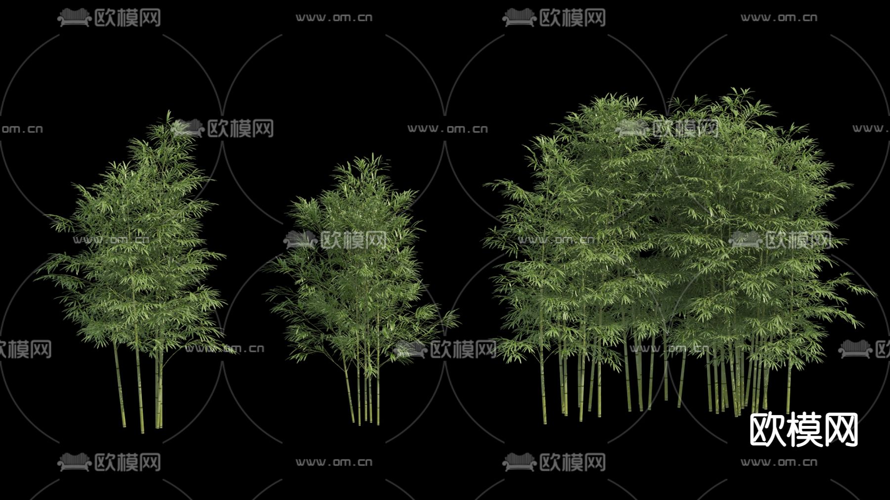 现代竹子绿植psd下载