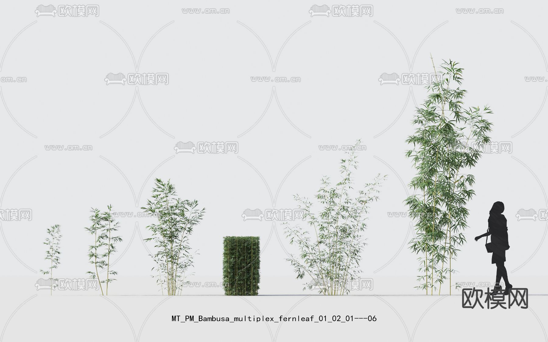 现代竹子绿植psd下载