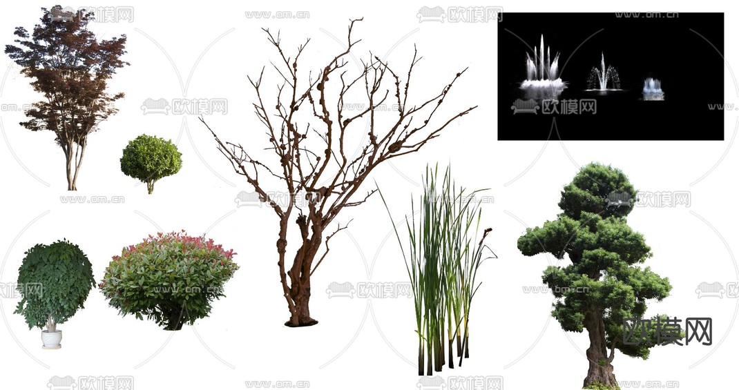 现代大树树木景观树psd下载_ID12157037_3dmax免费模型-欧模网