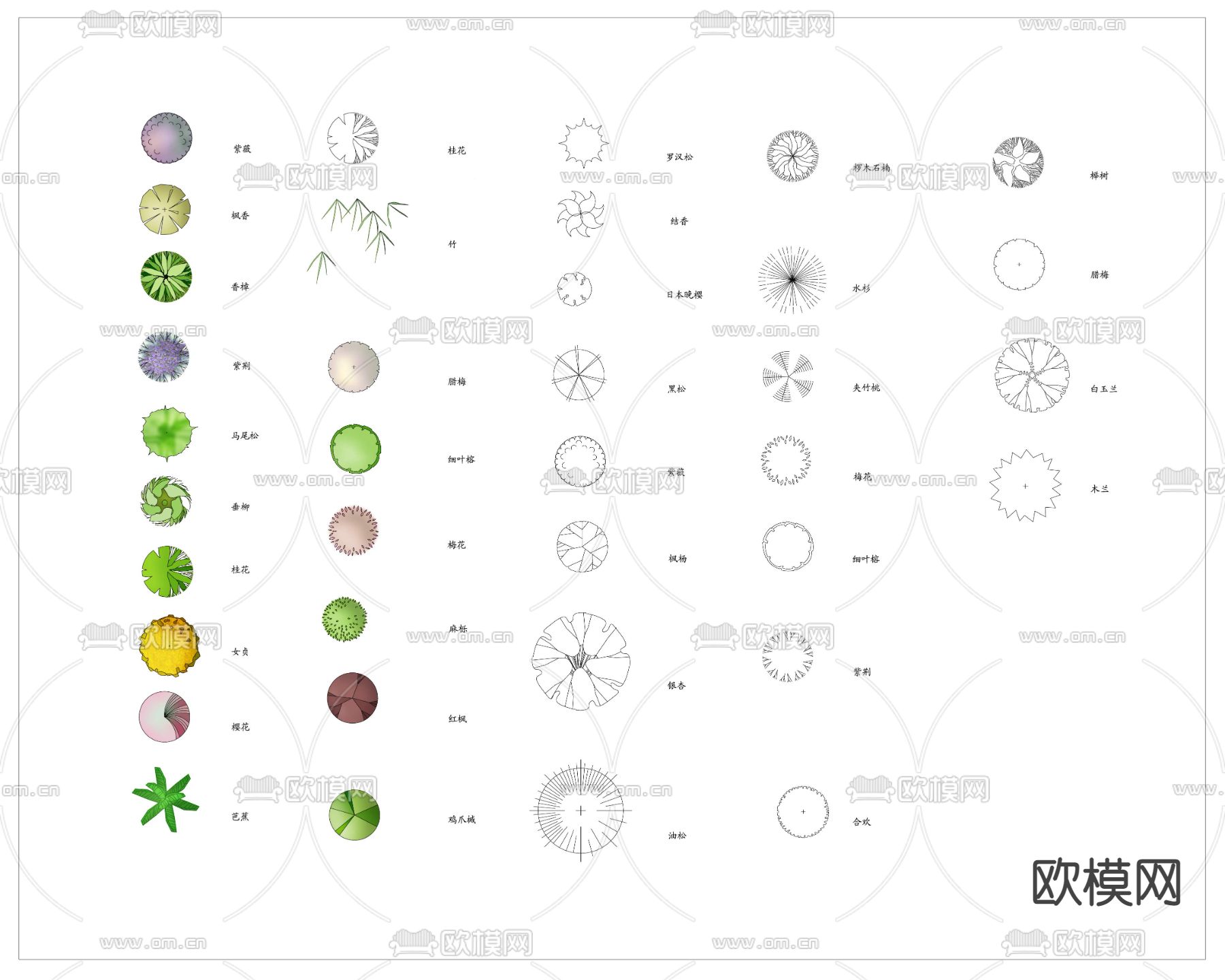 现代大树绿植植物平面图psd下载