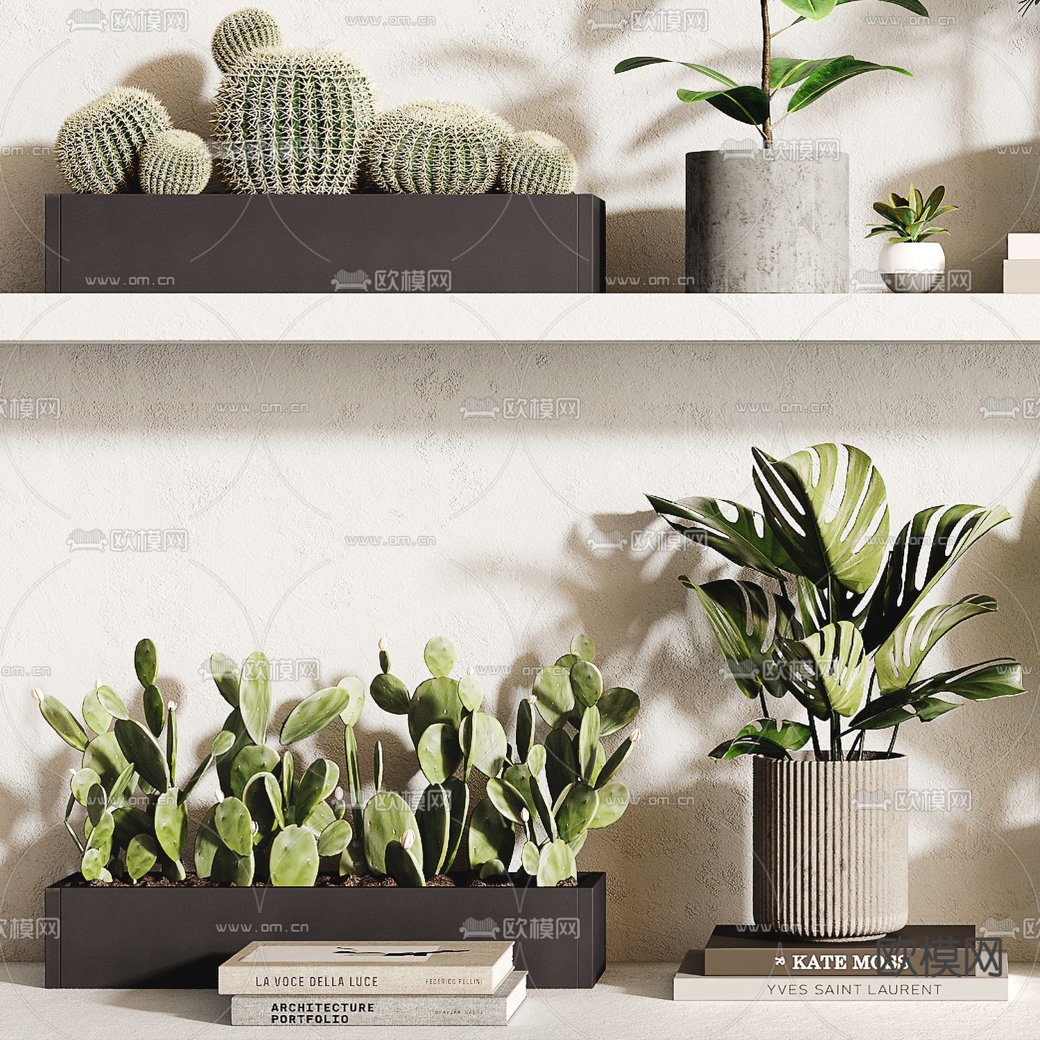 绿植盆栽 盆景3d模型下载（渲染图2）