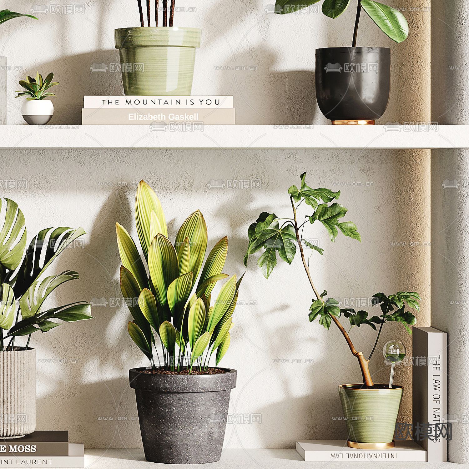 绿植盆栽 盆景3d模型下载（渲染图3）