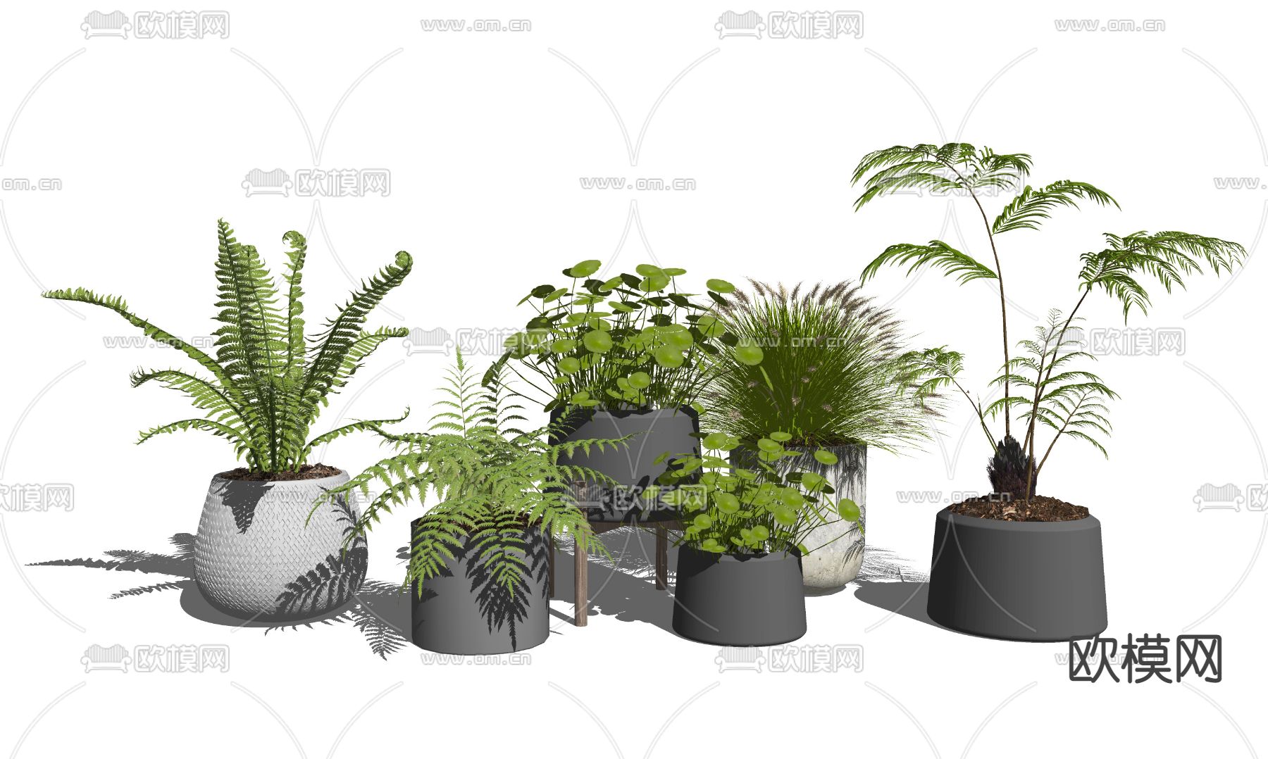 现代植物盆栽su模型下载（渲染图2）