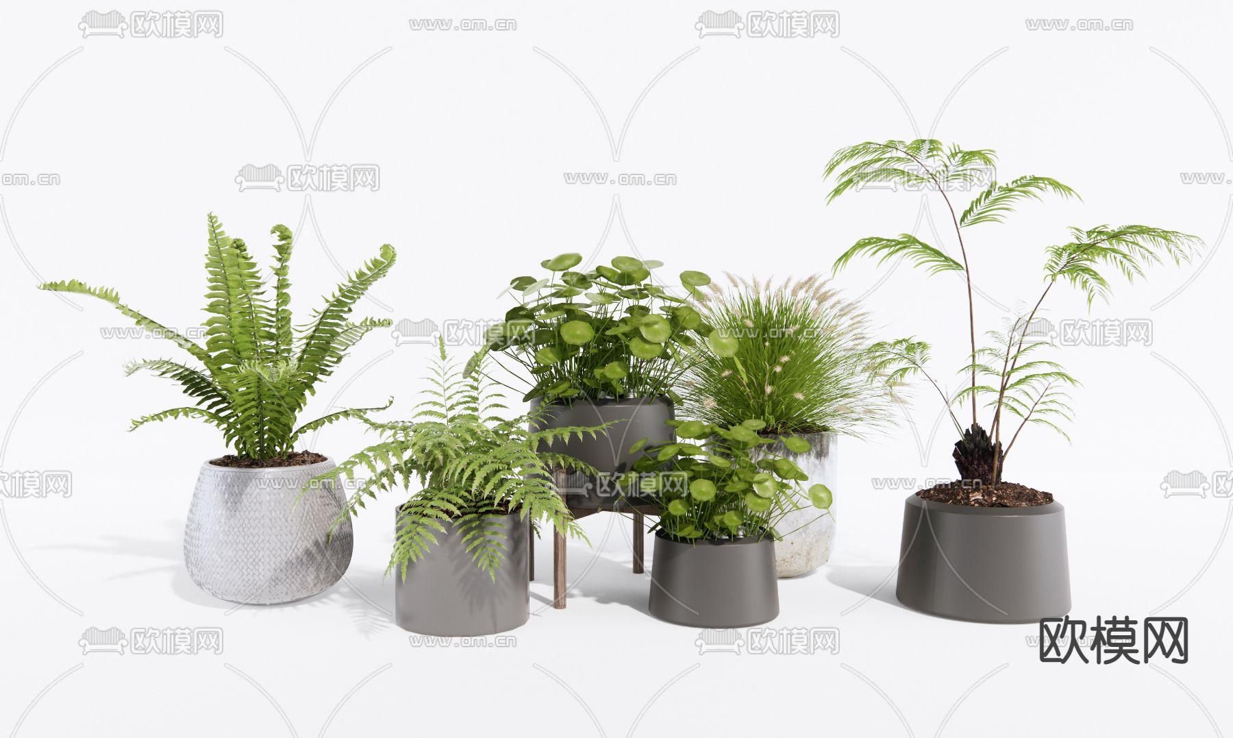 现代植物盆栽su模型下载（渲染图1）