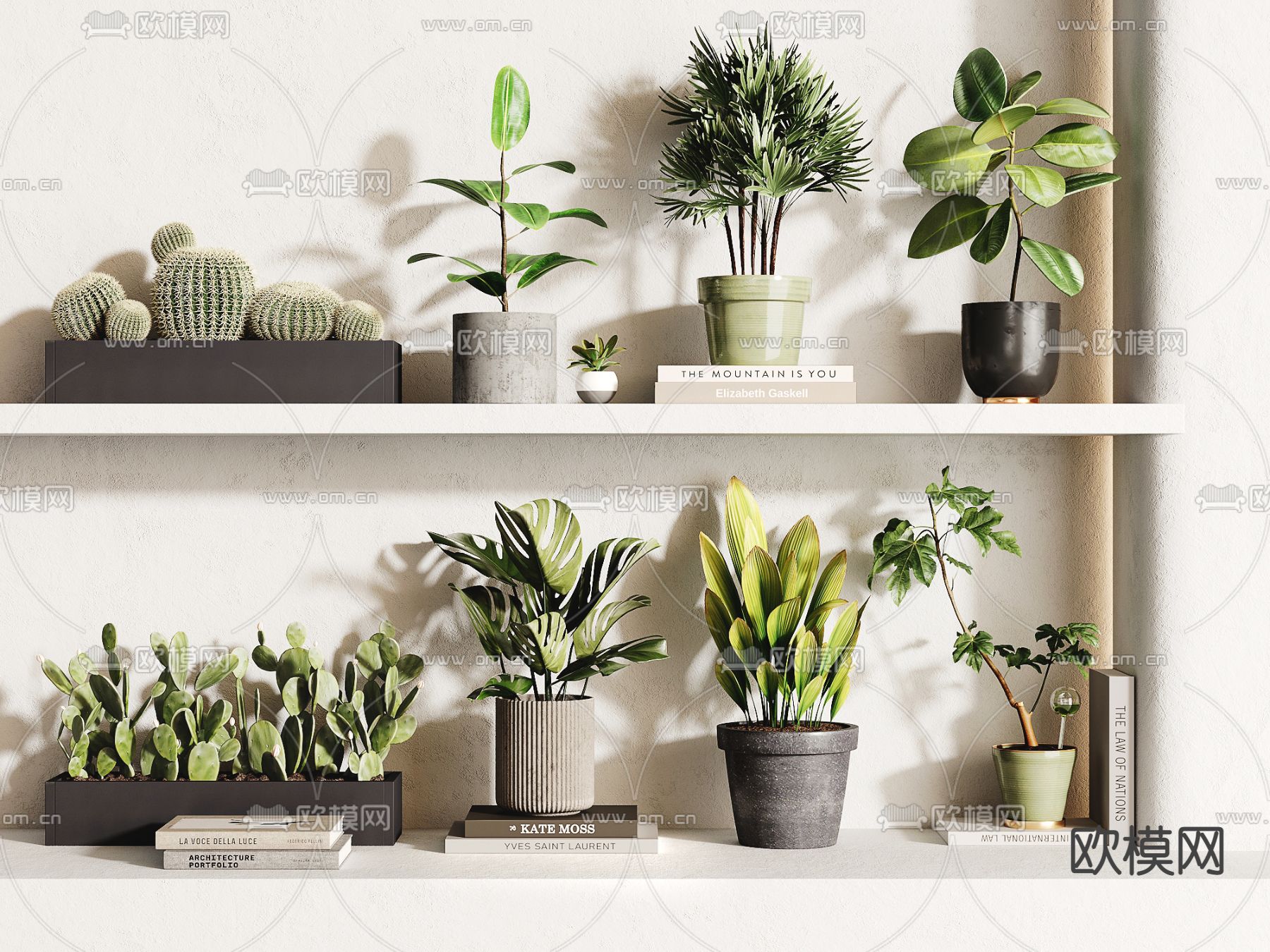 绿植盆栽 盆景3d模型下载（渲染图1）