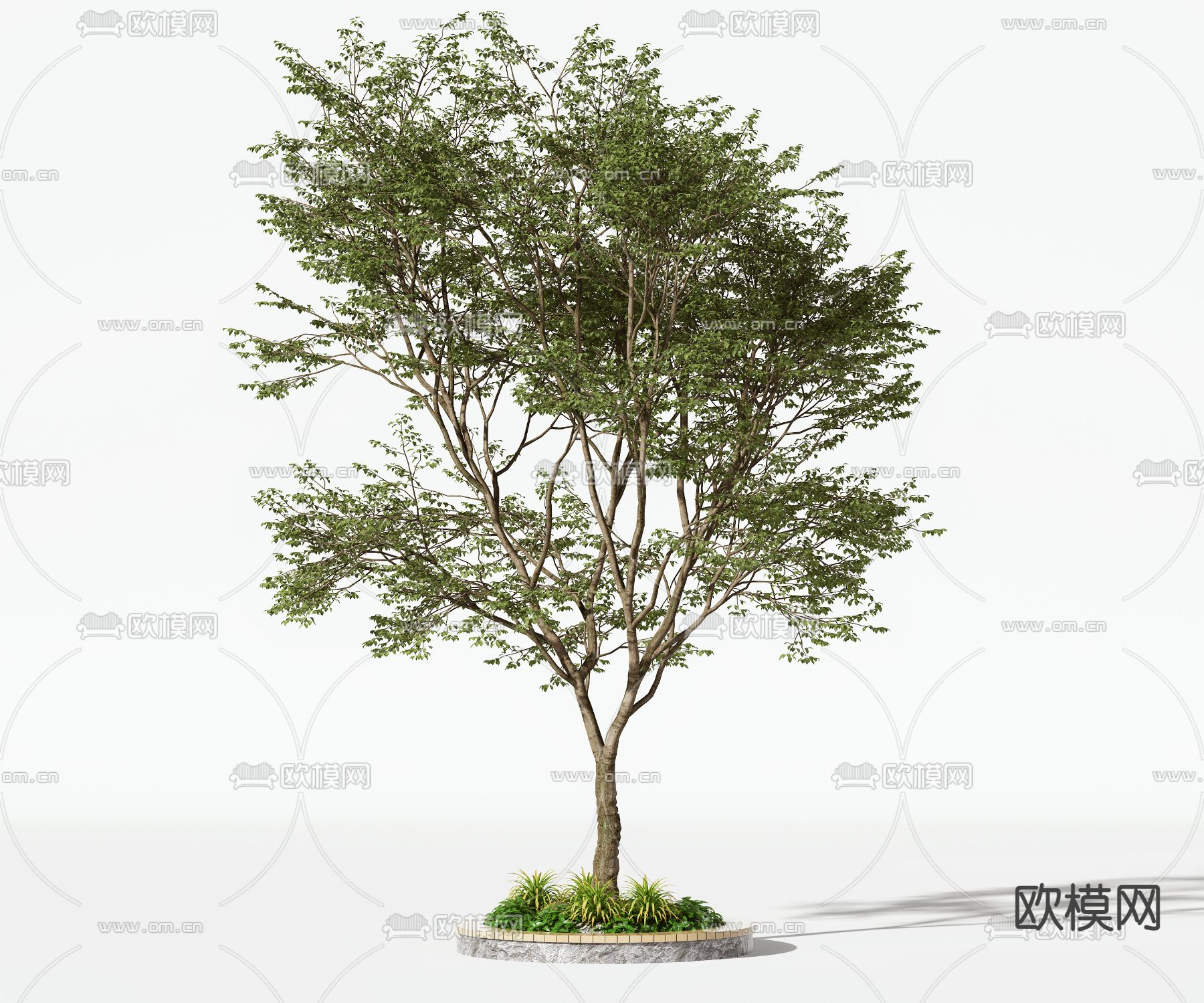 现代景观树 树木3d模型下载
