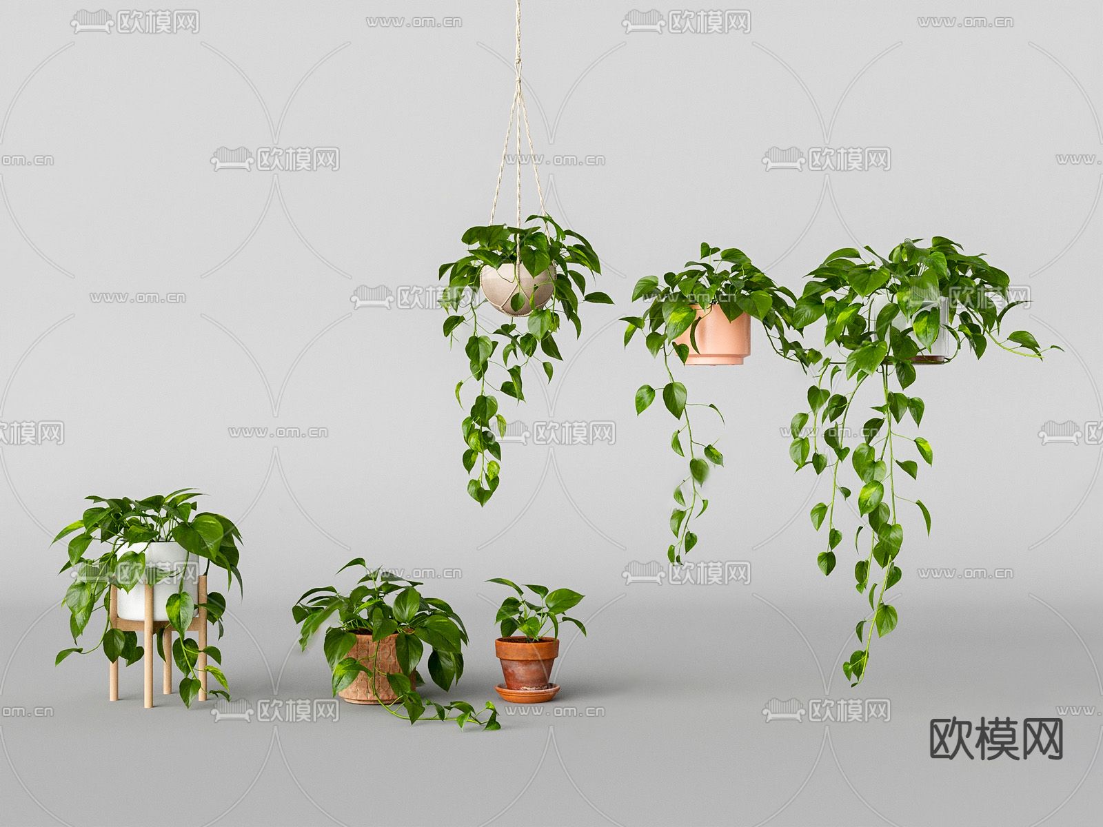 现代绿萝盆栽吊篮su模型下载（渲染图1）