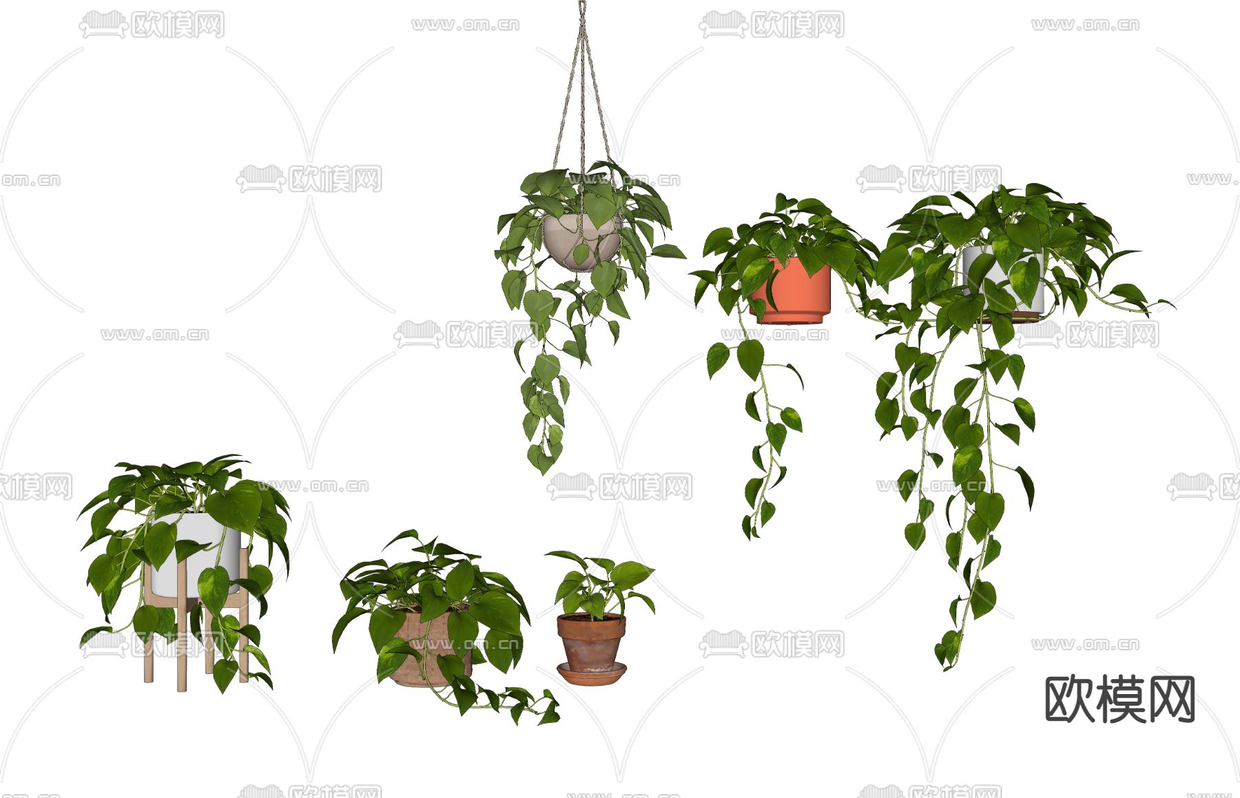 现代绿萝盆栽吊篮su模型下载（渲染图2）