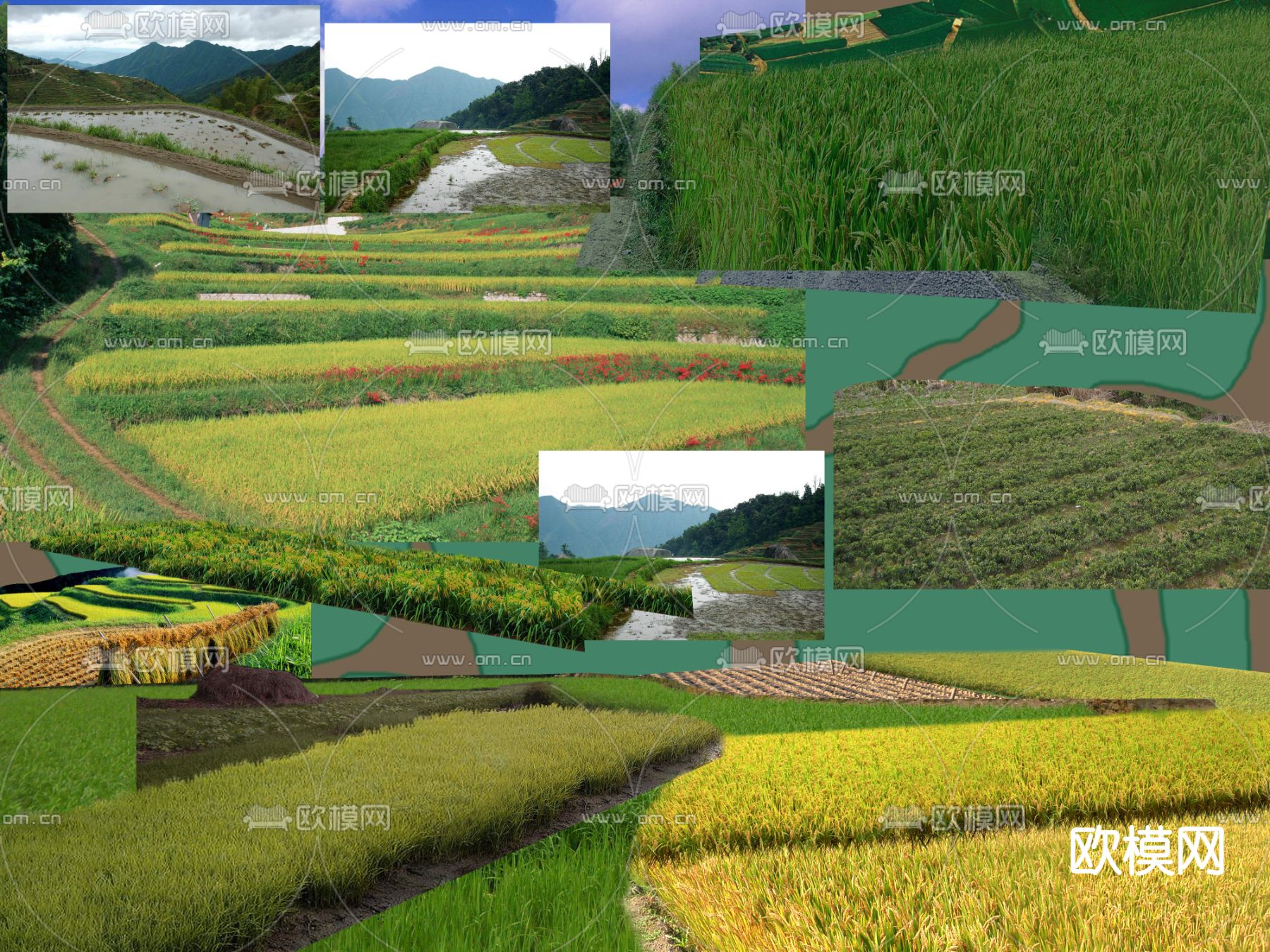 现代草坪稻田psd下载