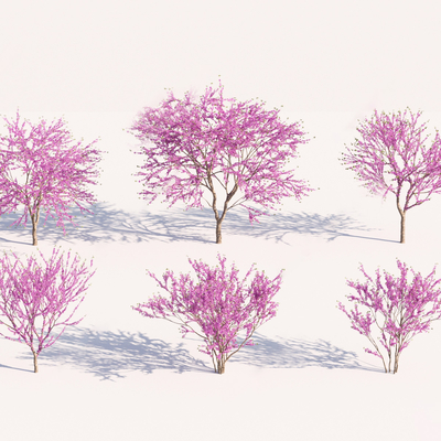  樱花树 梅花树 紫薇树su模型 