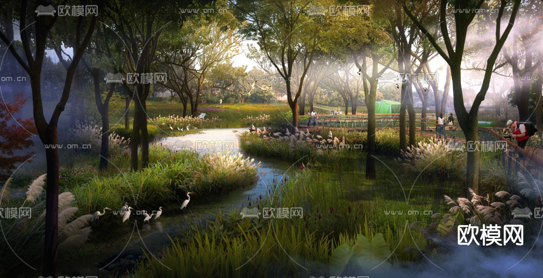 现代湿地园林景观psd下载