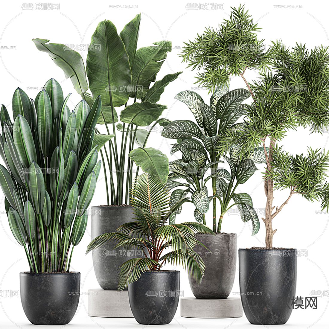 现代绿植盆栽 盆景3d模型下载_ID12172660_3dmax免费模型-欧模网