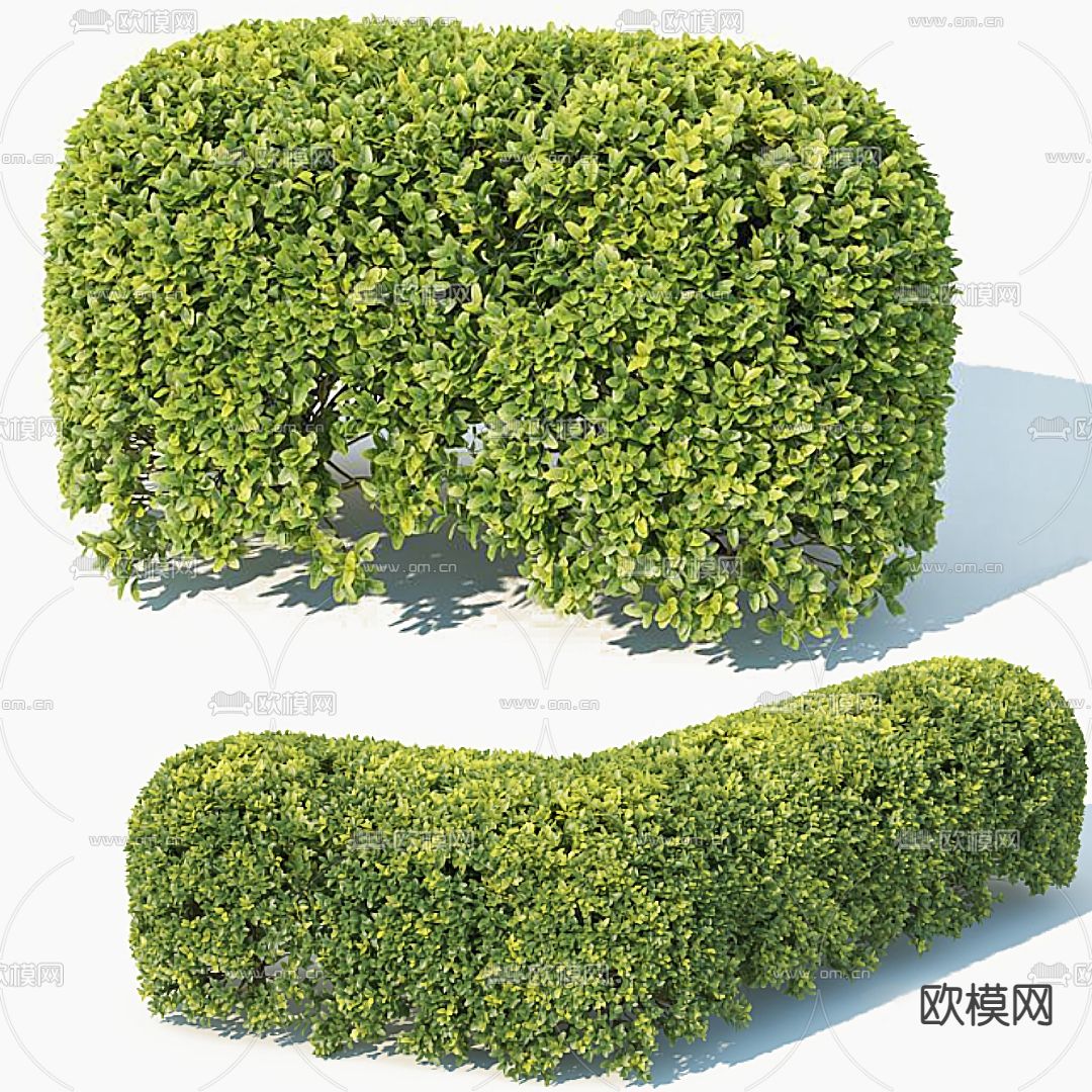 绿篱 灌木3d模型下载（渲染图1）