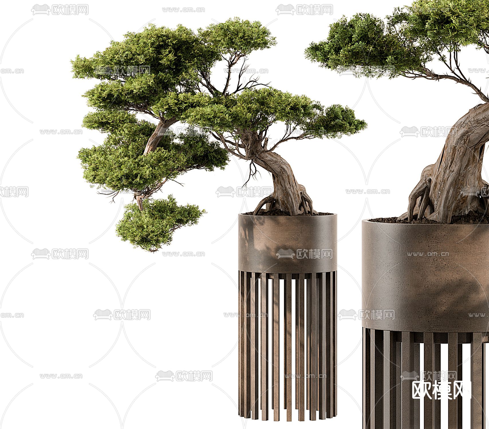 松树绿植盆栽 盆景3d模型下载_ID12175806_3dmax免费模型-欧模网