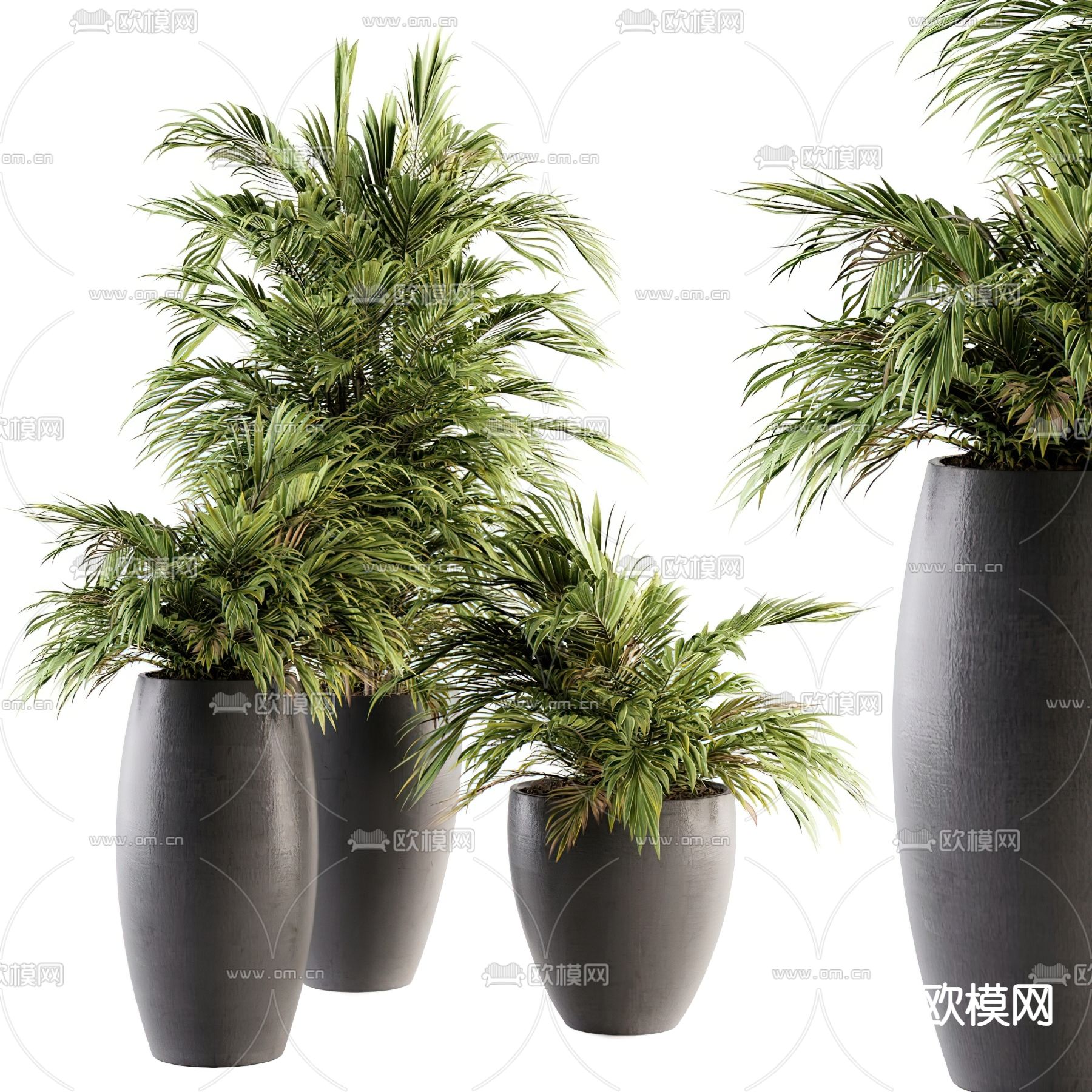 现代主人房盆栽 盆景3d模型下载