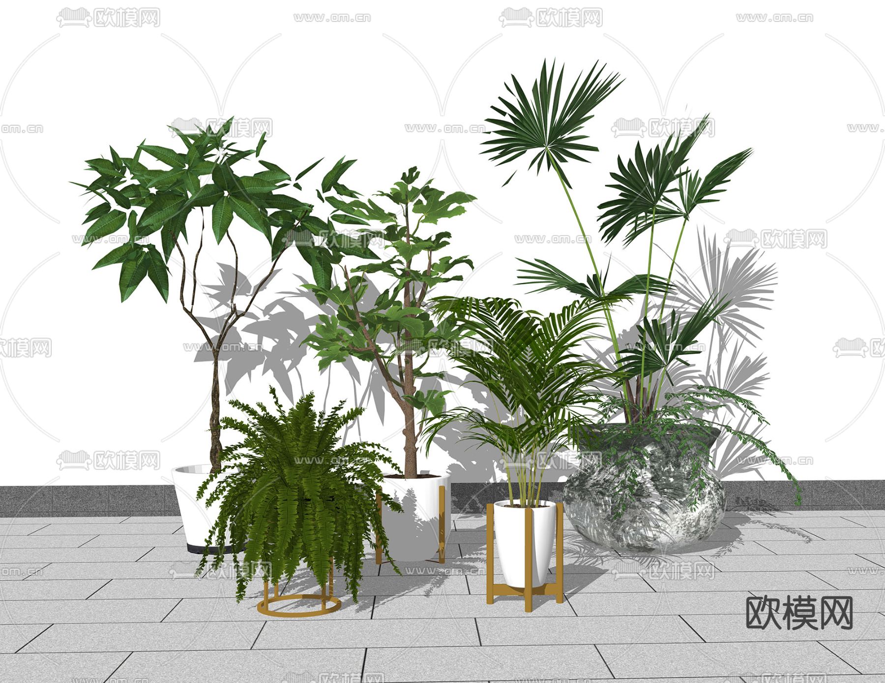 现代植物盆栽su模型下载