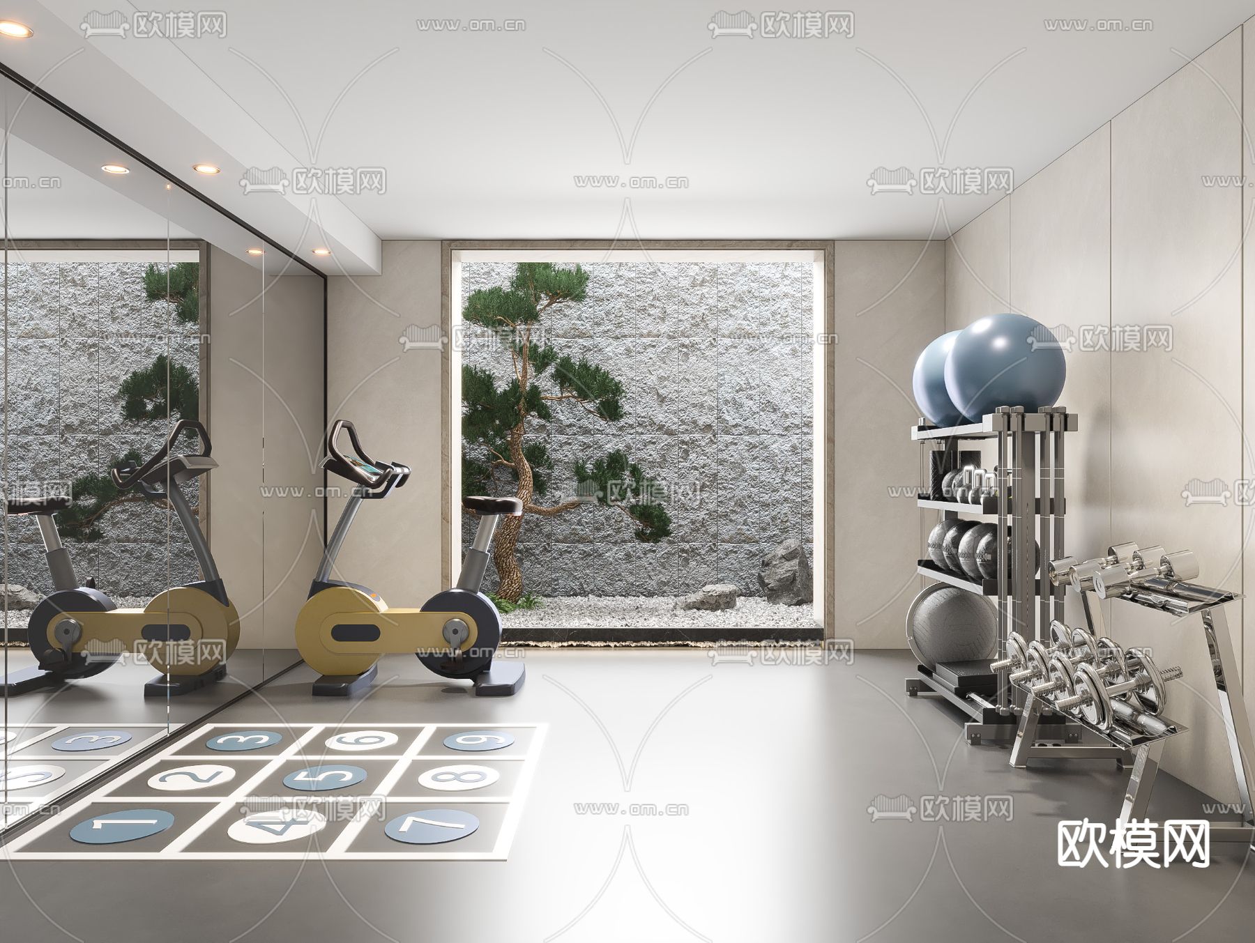 现代健身房su模型下载（渲染图1）