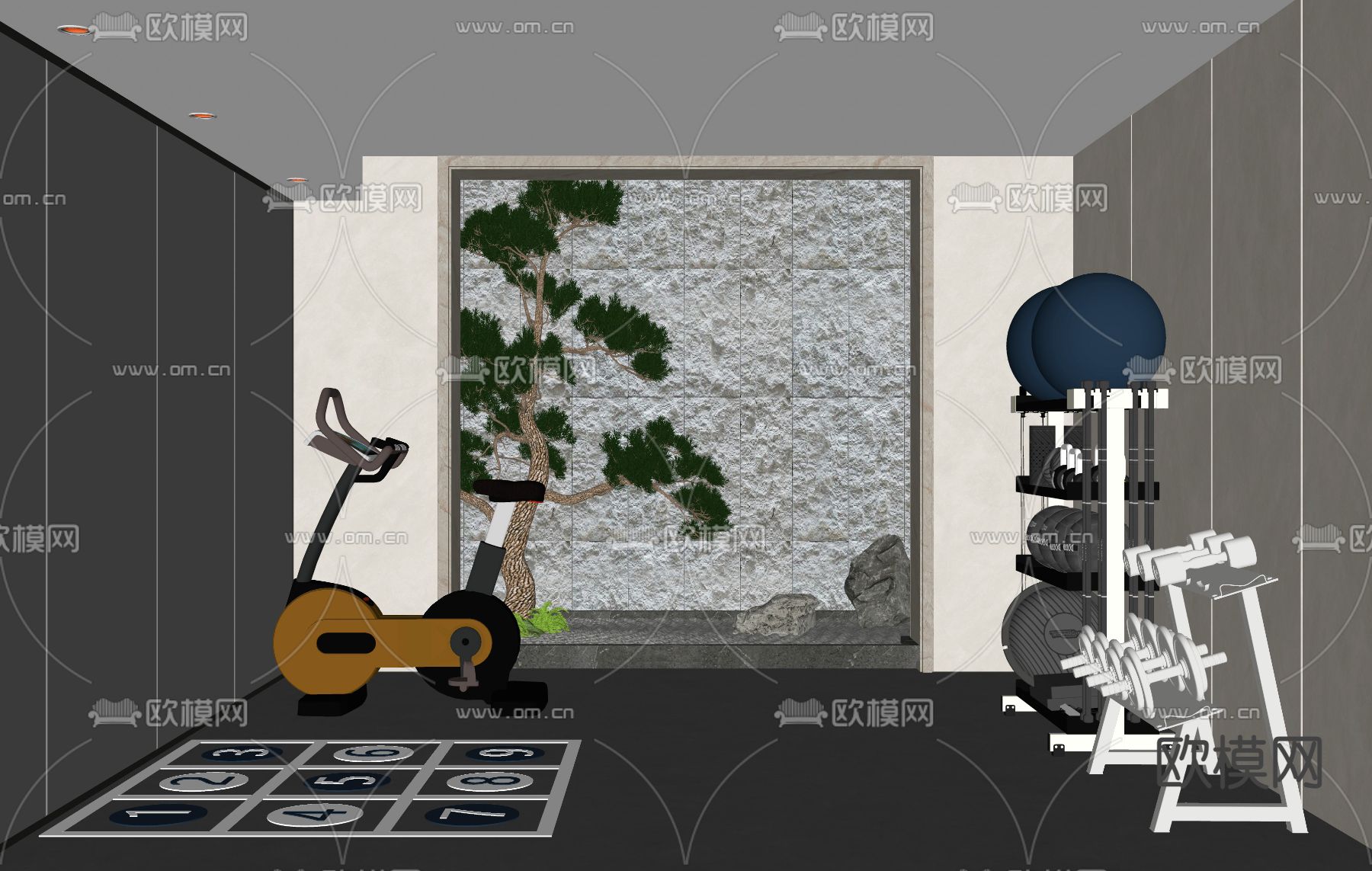 现代健身房su模型下载（渲染图2）