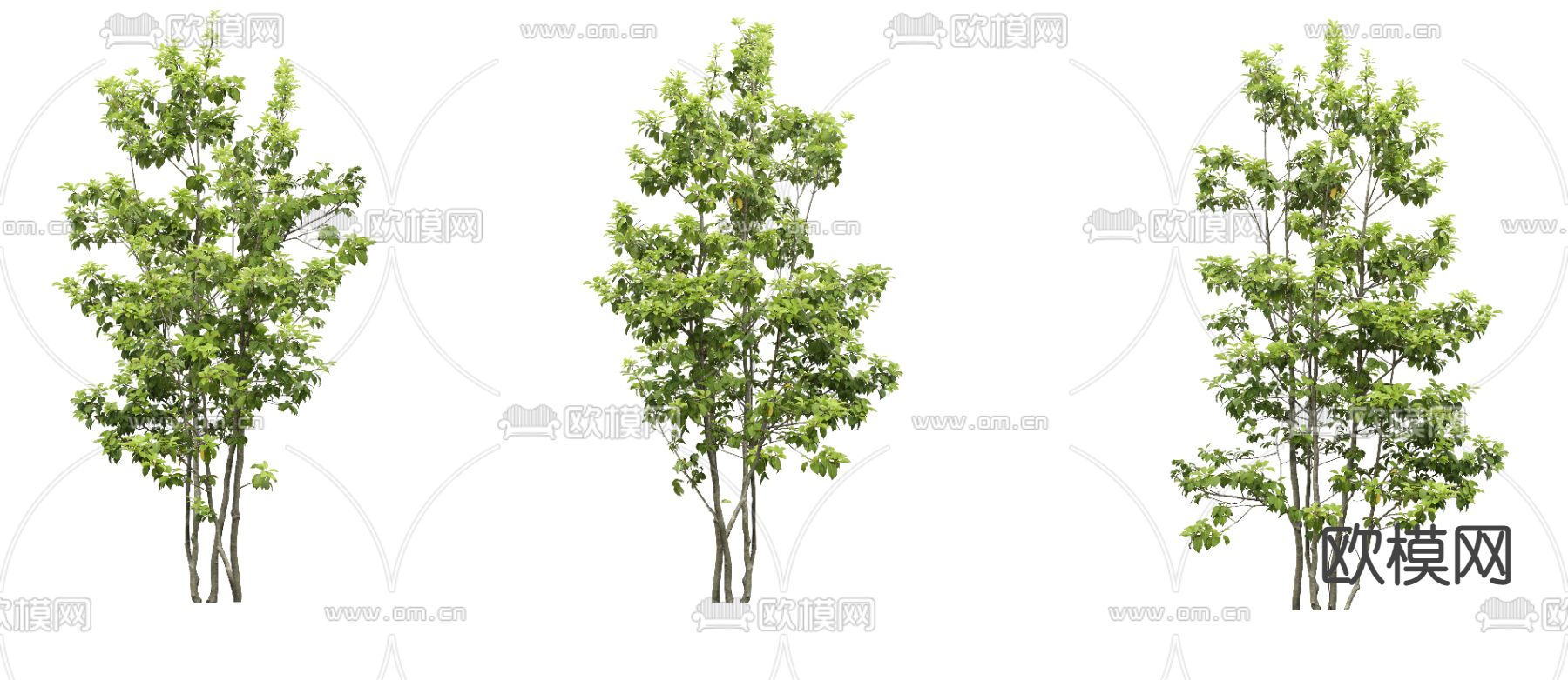 大树树木景观树psd下载_ID12180008_3dmax免费模型-欧模网