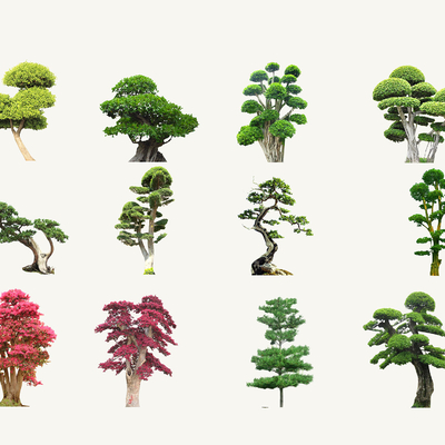  景观树 树木2d组件su模型 