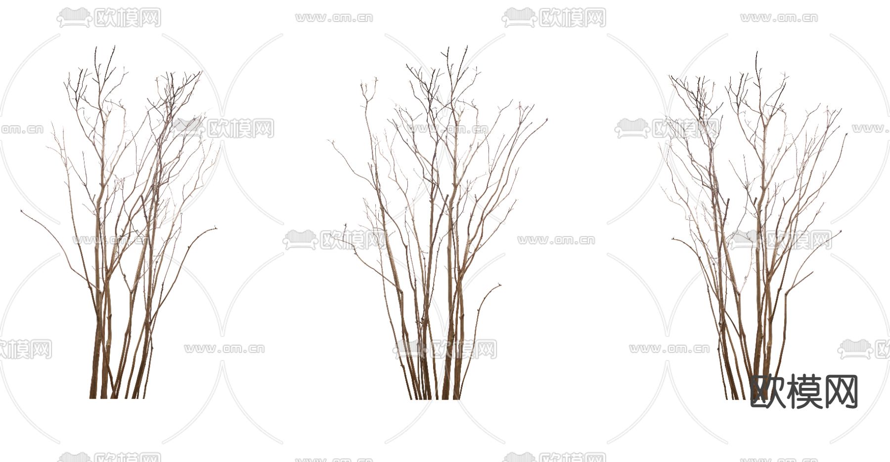 枯树景观树psd下载