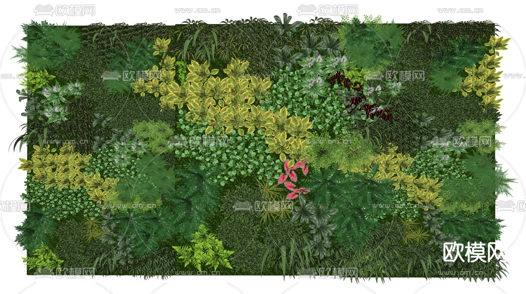 植物墙 绿植背景墙su模型下载（渲染图2）