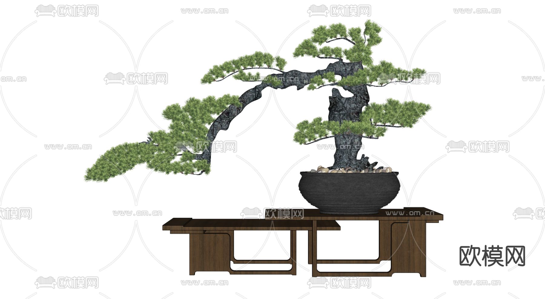 新中式迎客松盆栽 盆景su模型下载（渲染图2）