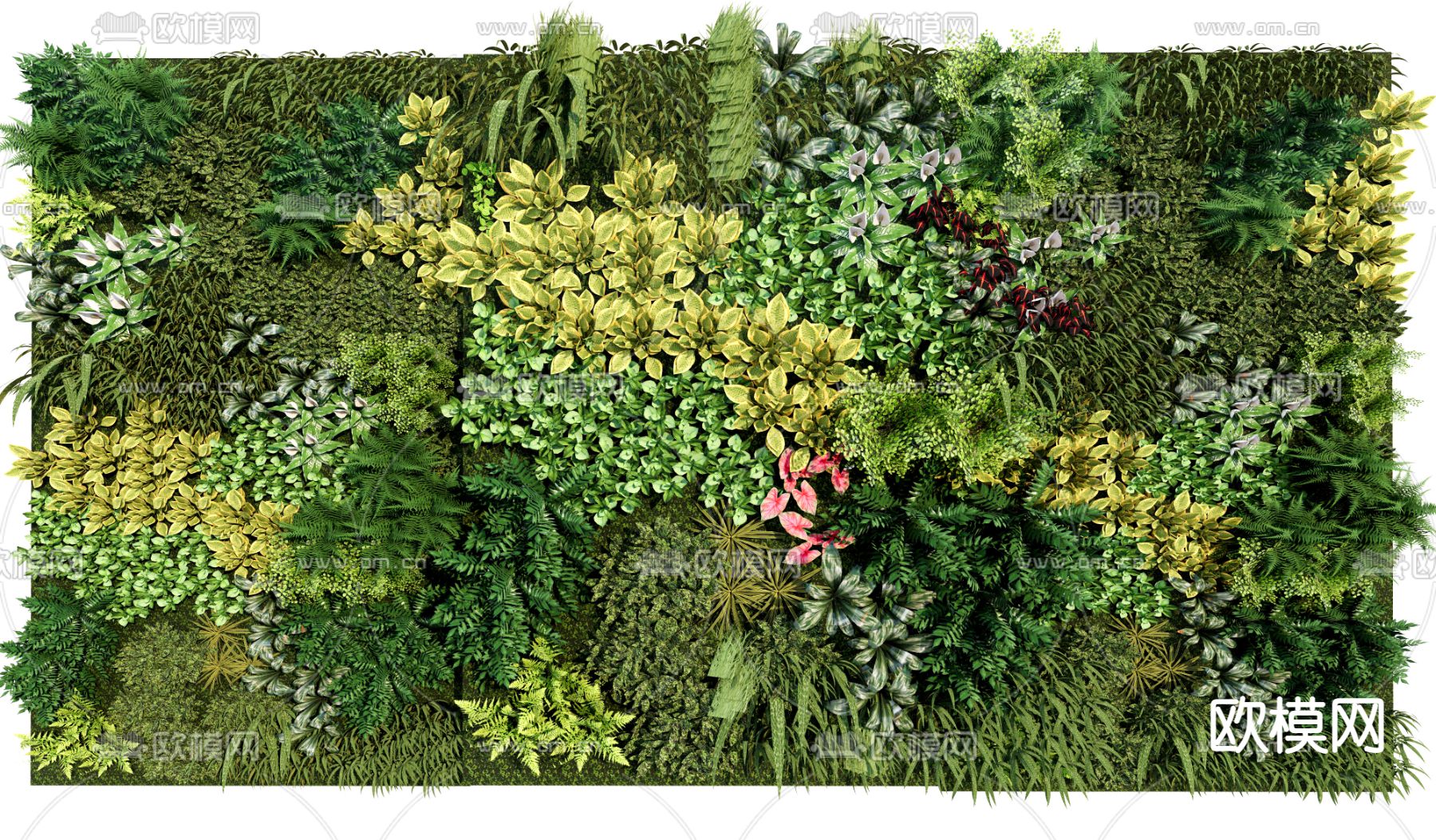 植物墙 绿植背景墙su模型下载（渲染图1）