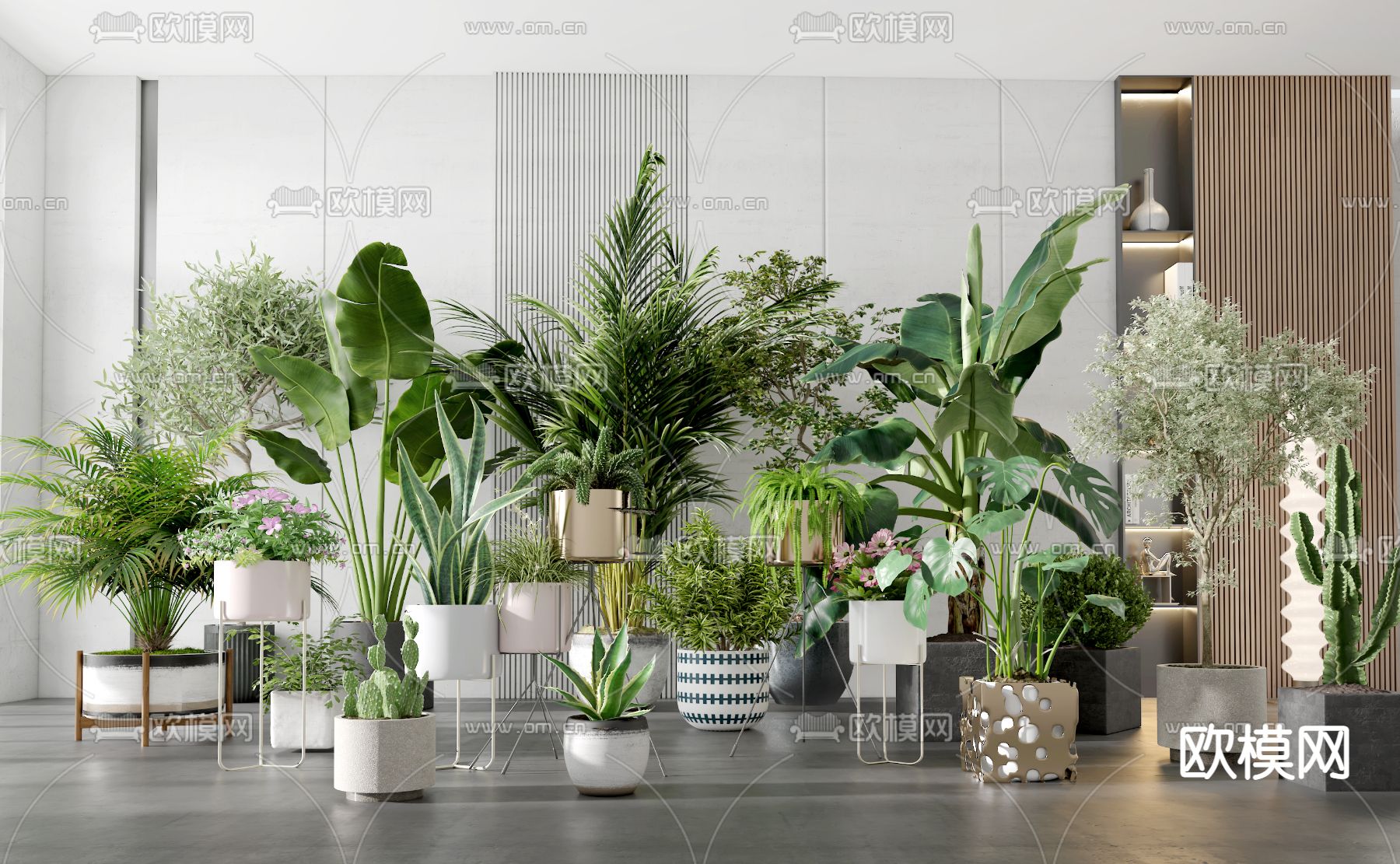 现代绿植盆栽su模型下载（渲染图1）