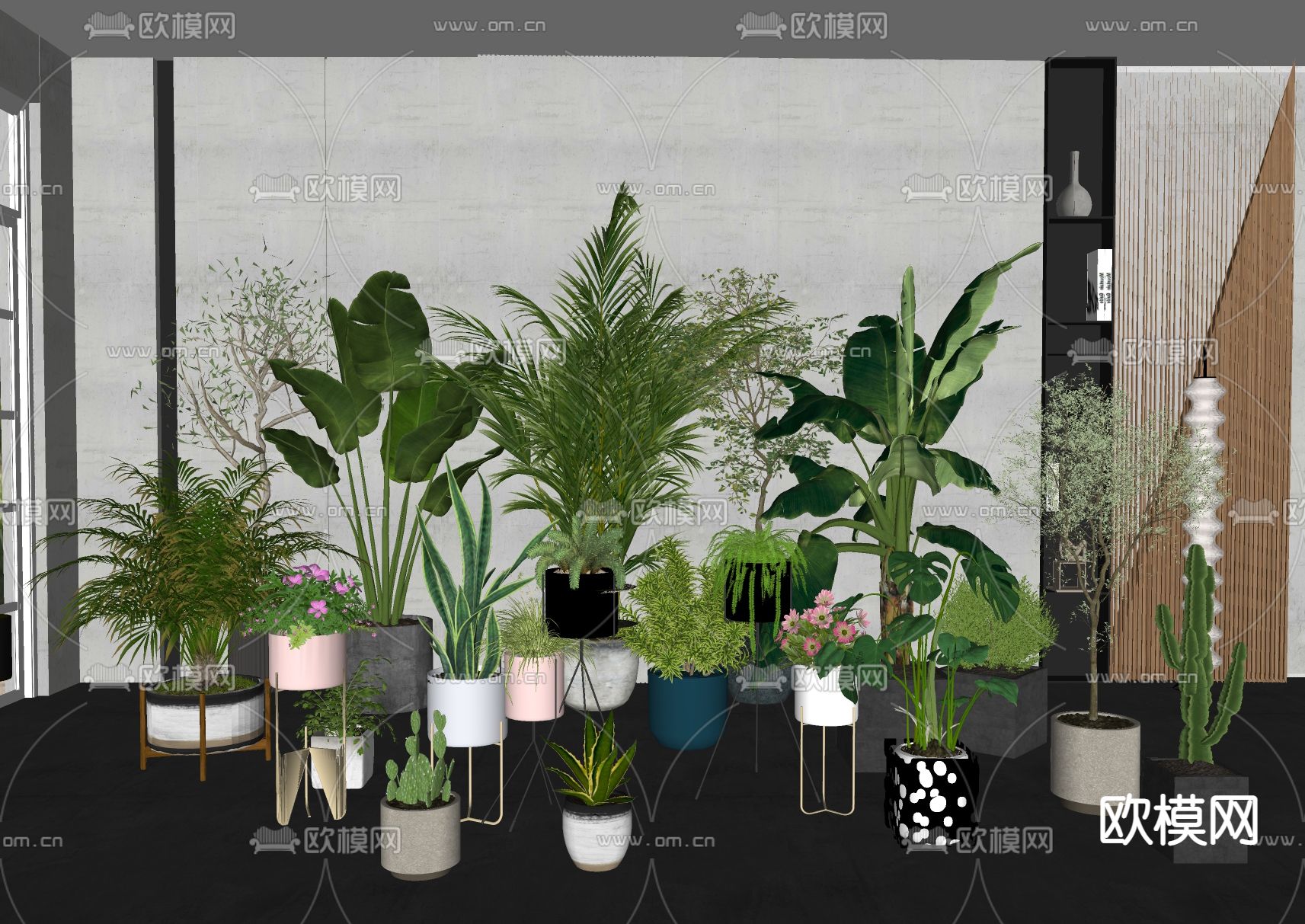 现代绿植盆栽su模型下载（渲染图2）