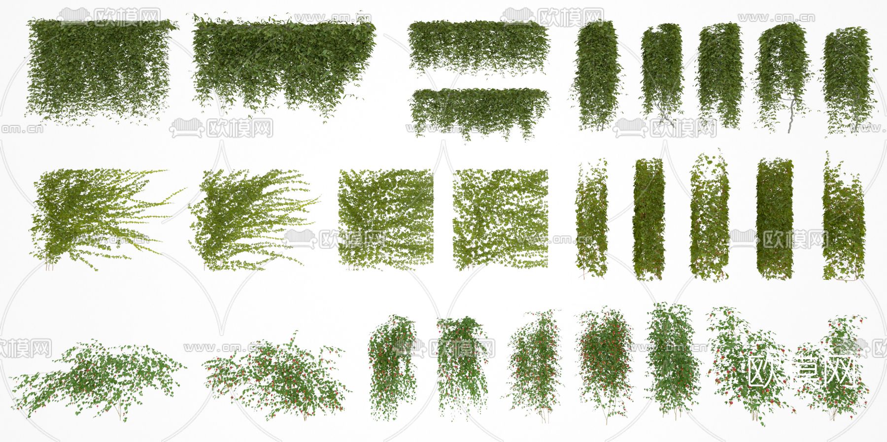 现代绿植藤蔓3d模型下载