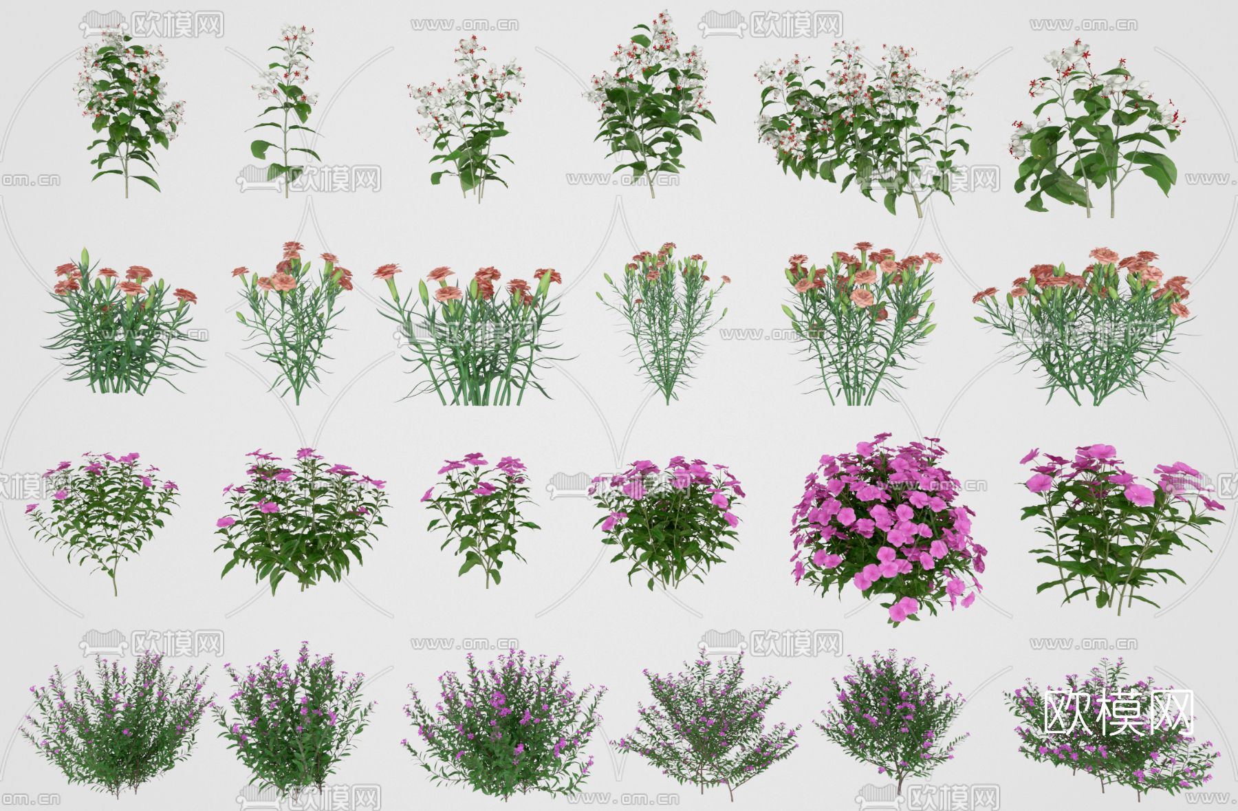 现代花草3d模型下载