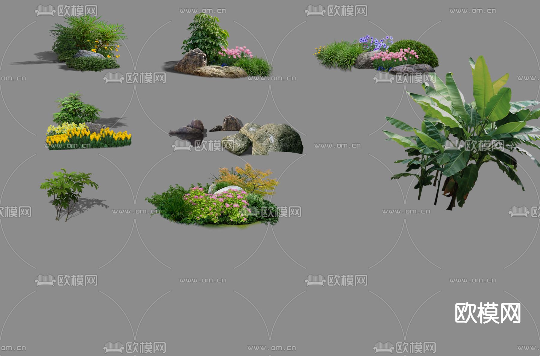 灌木丛 旅人蕉植物psd下载