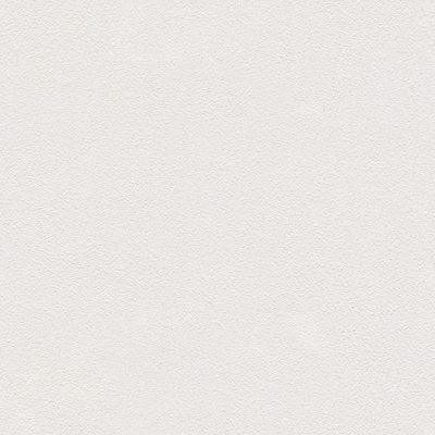  白色肌理艺术漆 