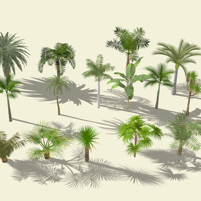  椰子树 热带绿植su模型 