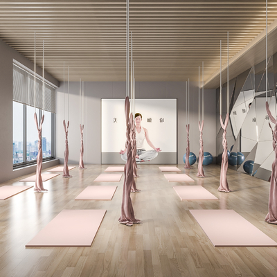  现代瑜伽室 健身房su模型 