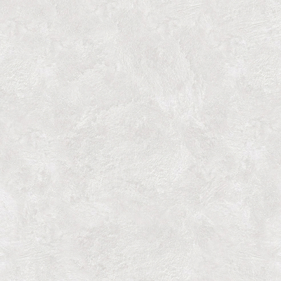  灰白肌理艺术漆 